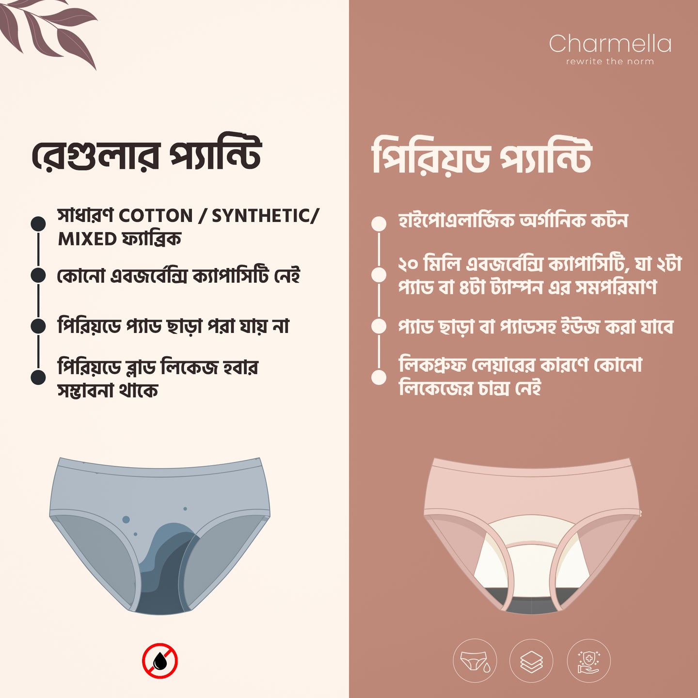 Charmella Period Panty