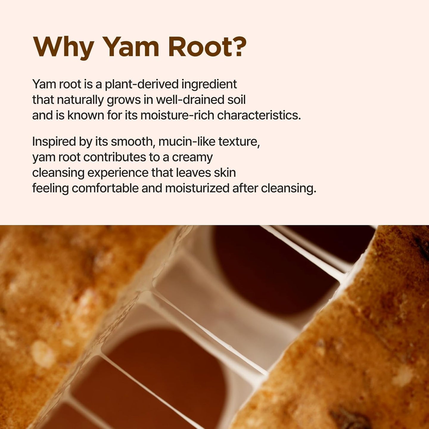 Isntree Yam Root Vegan Milk Cleanser
