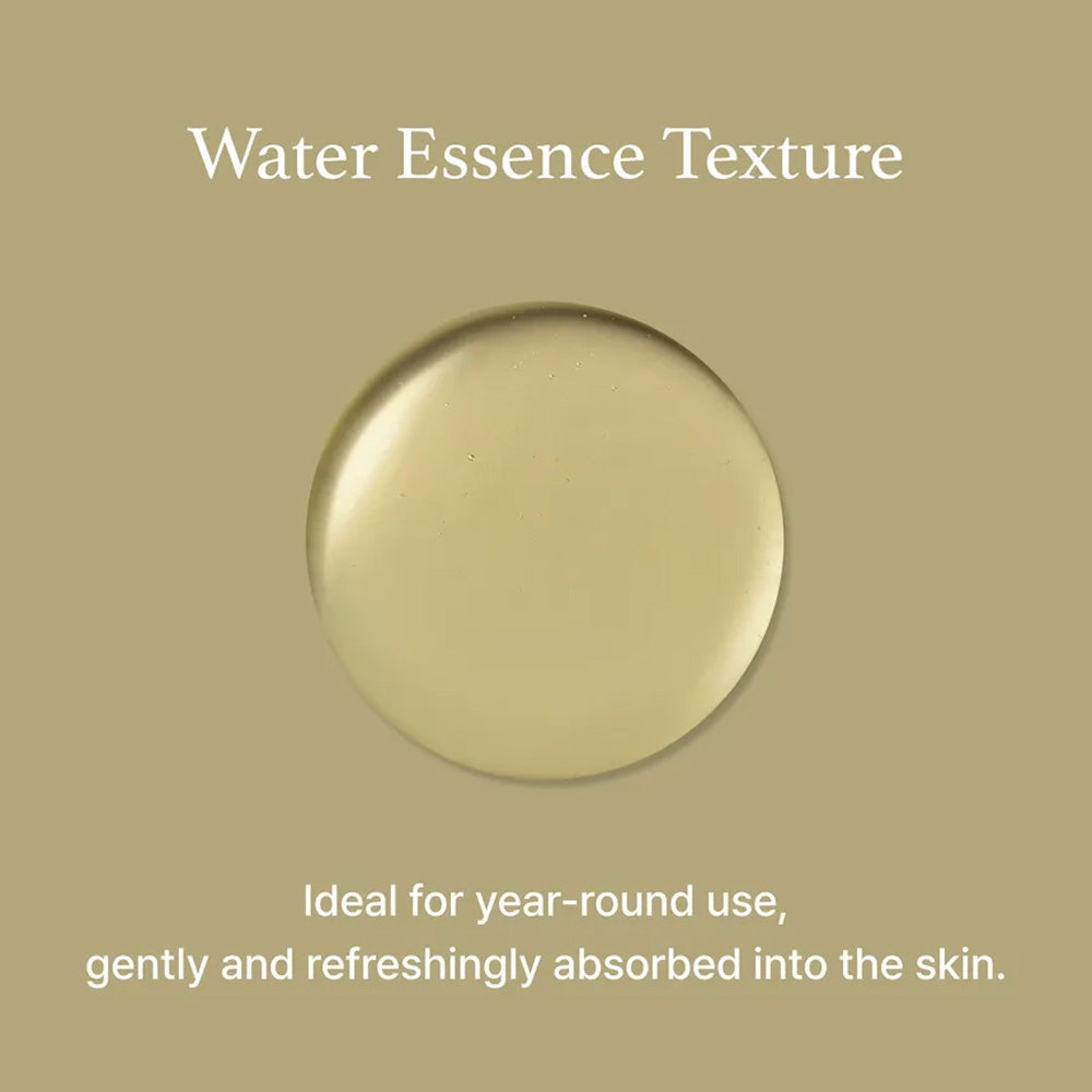 I'm from Mugwort Essence