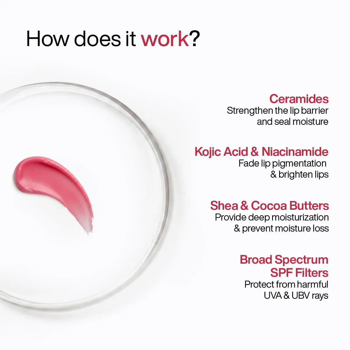 WishCare Ceramide Lip Balm Tinted With SPF 50 PA++++ 5g