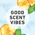 Herbal Essences Body Envy Boosted Volume Shampoo (USA)