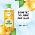 Herbal Essences Body Envy Boosted Volume Shampoo (USA)