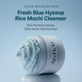 Arencia Fresh Royal Blue Hyssop Rice Mochi Cleanser
