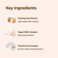 Isntree Yam Root Vegan Milk Cleanser