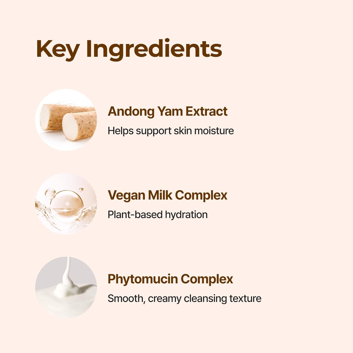 Isntree Yam Root Vegan Milk Cleanser