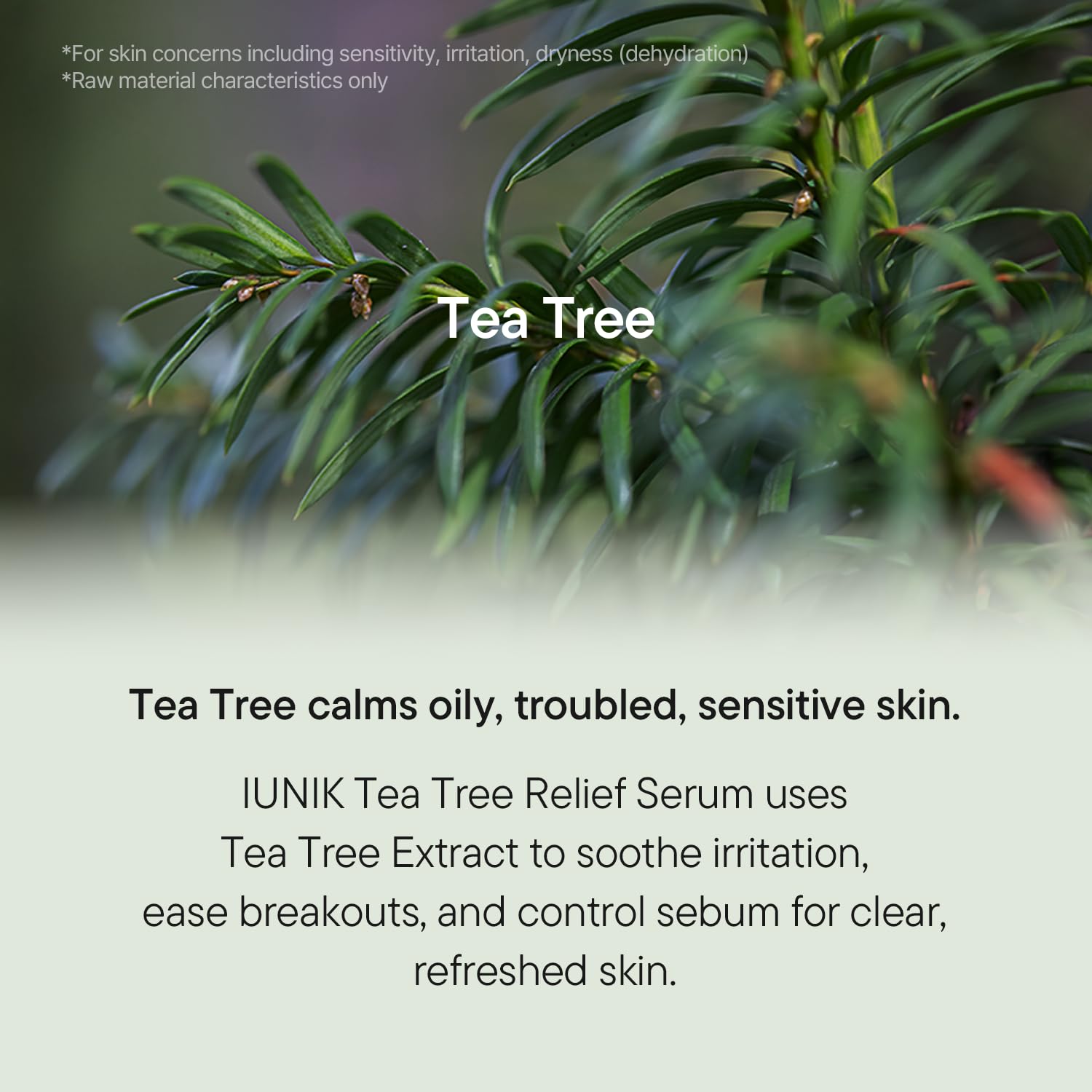 [iUNIK] Tea Tree Relief Serum