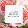 Herbal Essences Rose Hips Smooth Shampoo (USA)