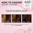 L'Oreal Paris Excellence Cool Creme Triple Care Hair Color - 4AR Dark Chocolate Brown