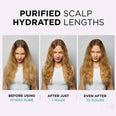 L'Oréal Paris Elvive Hydra Pure 72H Purifying Shampoo (UK)