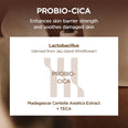 SKIN1004 Madagascar Centella Probio-Cica Intensive Ampoule