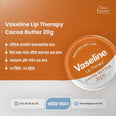 Vaseline Lip Therapy 20g