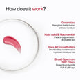 WishCare Ceramide Lip Balm Tinted With SPF 50 PA++++ 5g