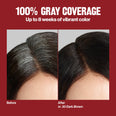 Revlon ColorSilk with Bond Repair Complex Permanent Hair Dye- Brown Black (020)
